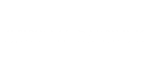 annettestender.nl